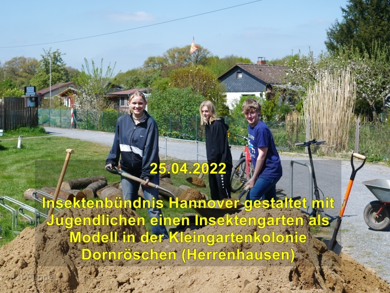 2022/20220428 In der Steintormasch Insektengarten/index.html